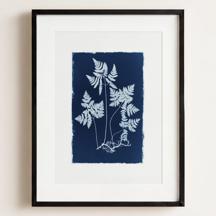 Botanical Cyanotype No. 2