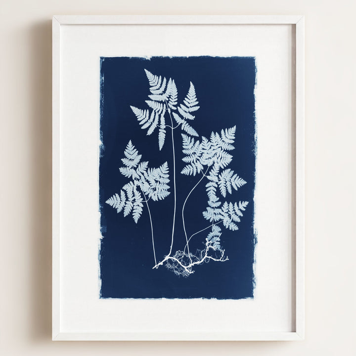 Botanical Cyanotype No. 2
