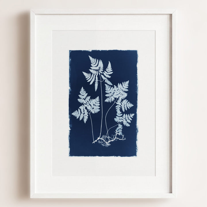 Botanical Cyanotype No. 2