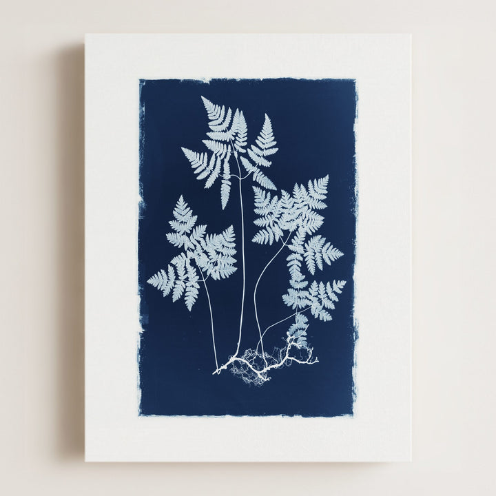 Botanical Cyanotype No. 2