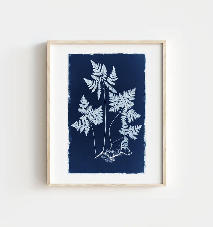 Botanical Cyanotype No. 2
