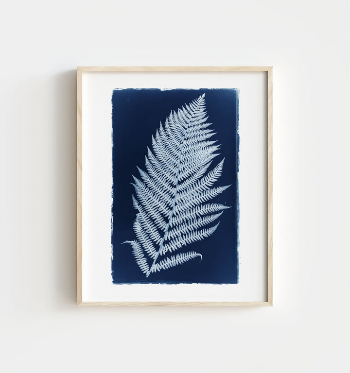 Botanical Cyanotype No. 3