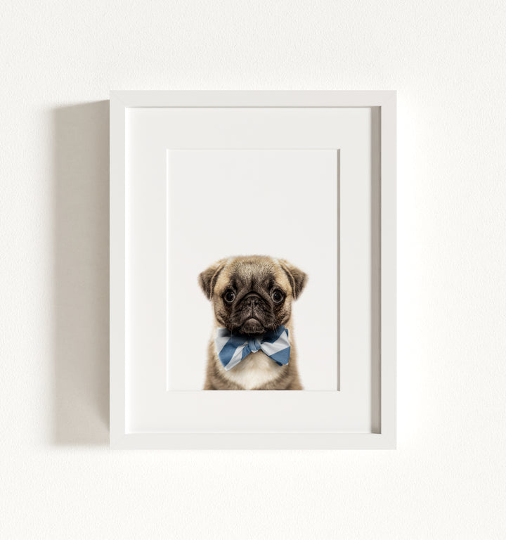 Baby Pug Puppy Framed Art