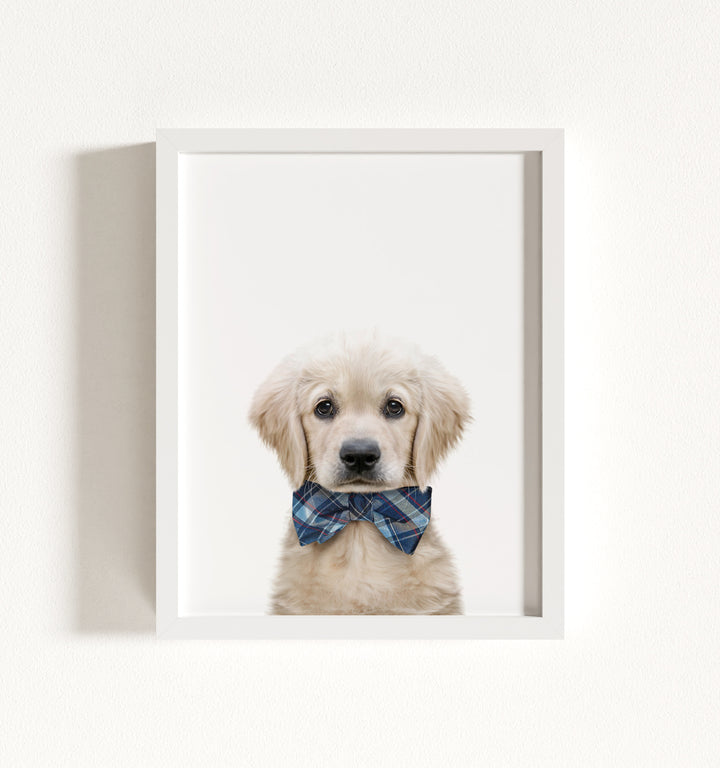 Baby Puppy Golden Retriever Portrait Framed Art