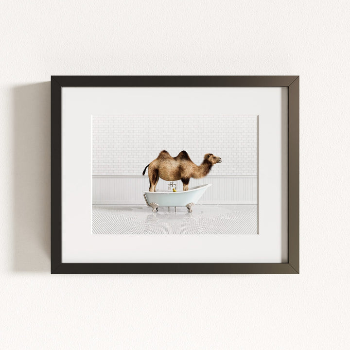 Camel in Blue Bathtub