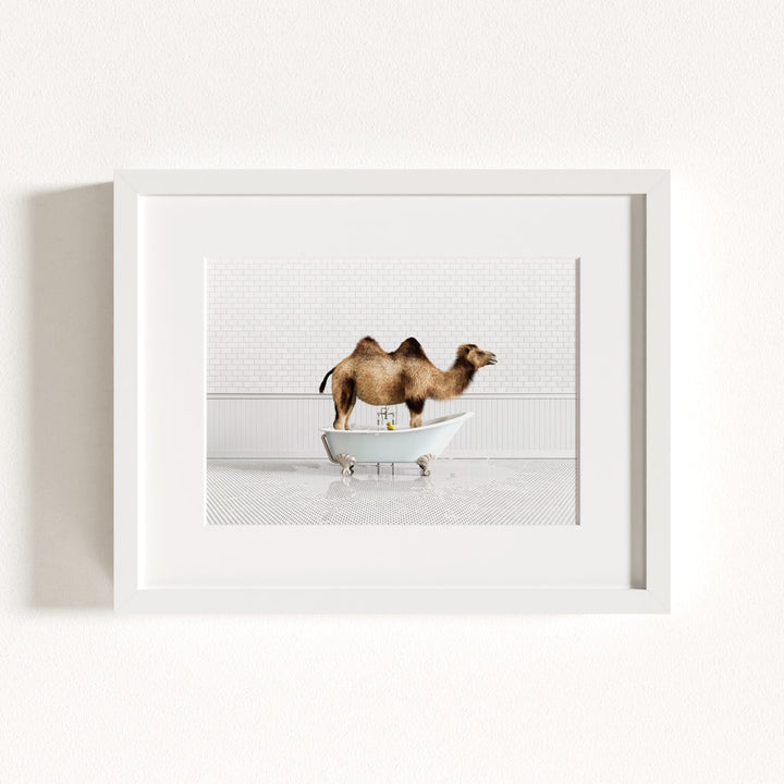 Camel in Blue Bathtub