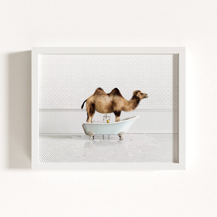 Camel in Blue Bathtub