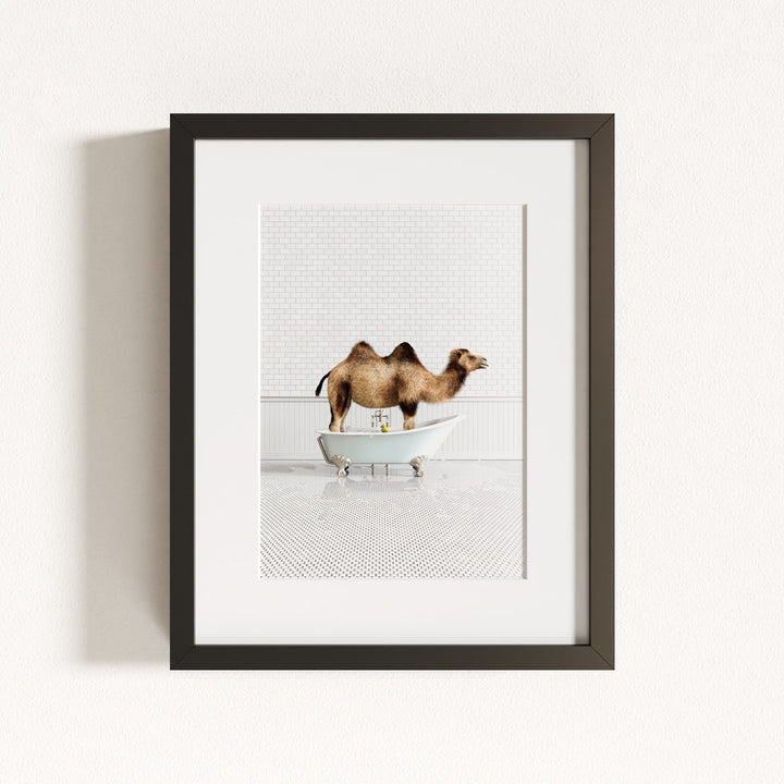 Camel in Blue Bathtub