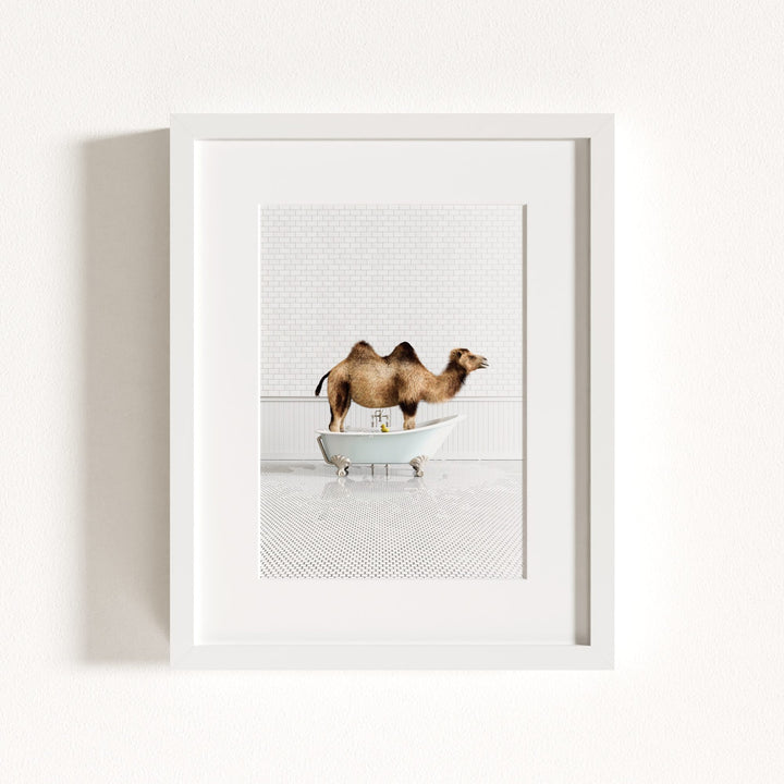 Camel in Blue Bathtub