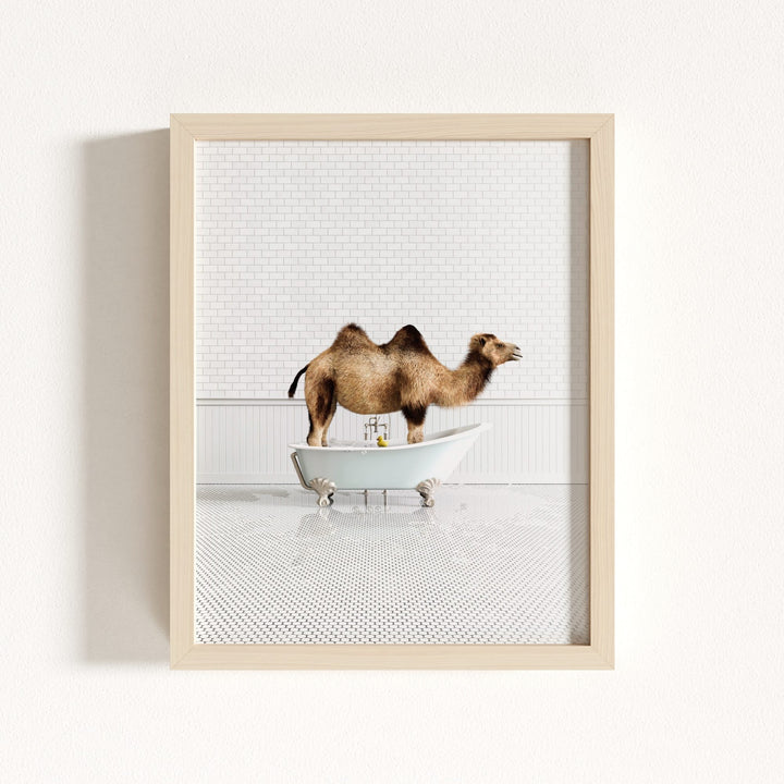 Camel in Blue Bathtub