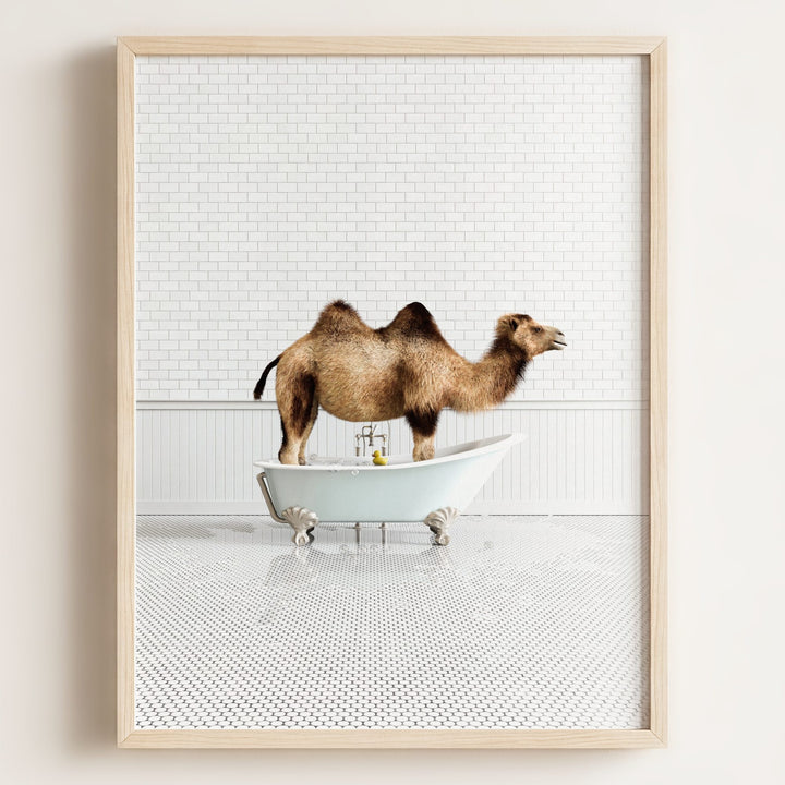 Camel in Blue Bathtub