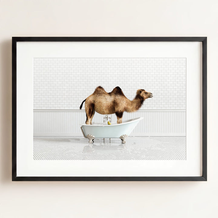 Camel in Blue Bathtub