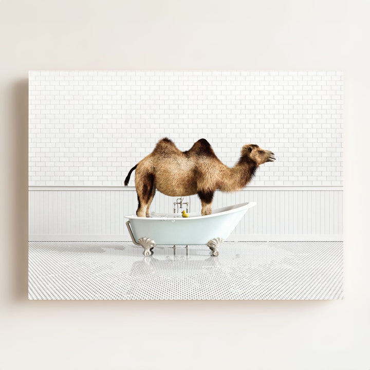 Camel in Blue Bathtub