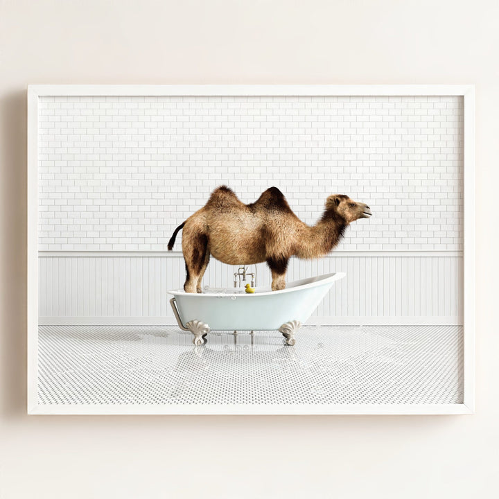 Camel in Blue Bathtub