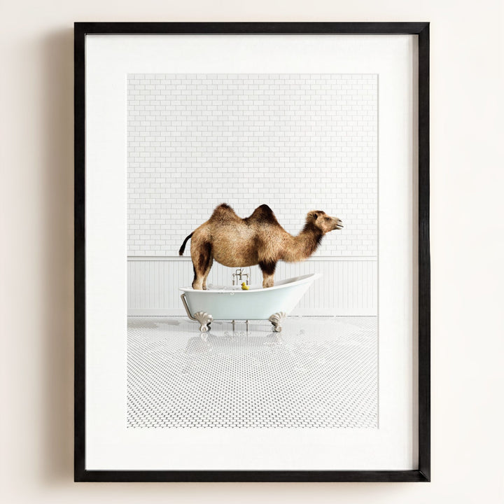 Camel in Blue Bathtub