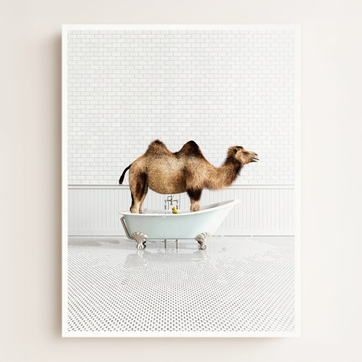 Camel in Blue Bathtub