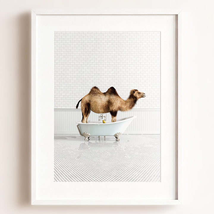 Camel in Blue Bathtub