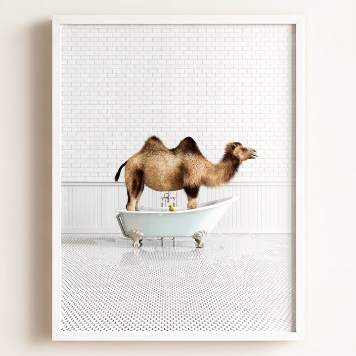 Camel in Blue Bathtub