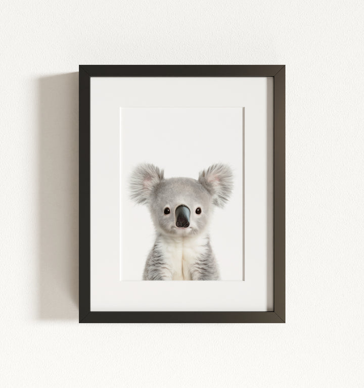 Baby Koala Framed Art