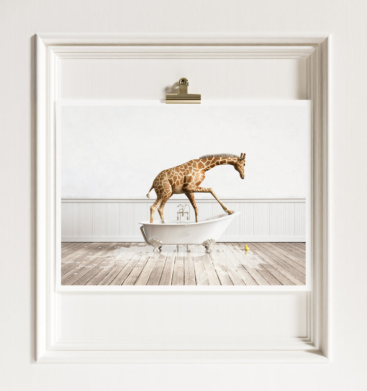 Giraffe in White Bathtub