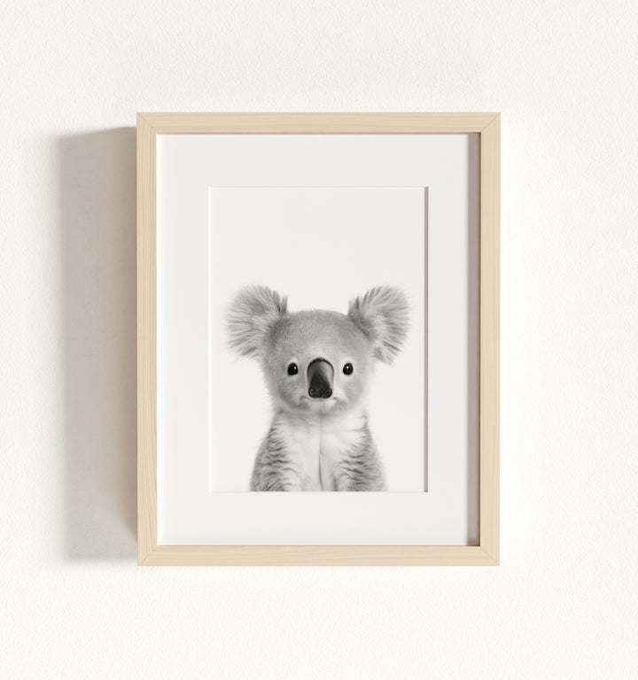Baby Koala Framed Art
