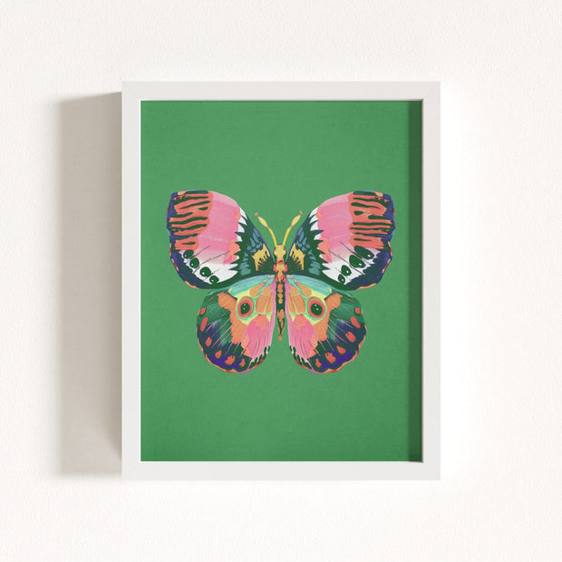 Color Bloom Butterfly Collection