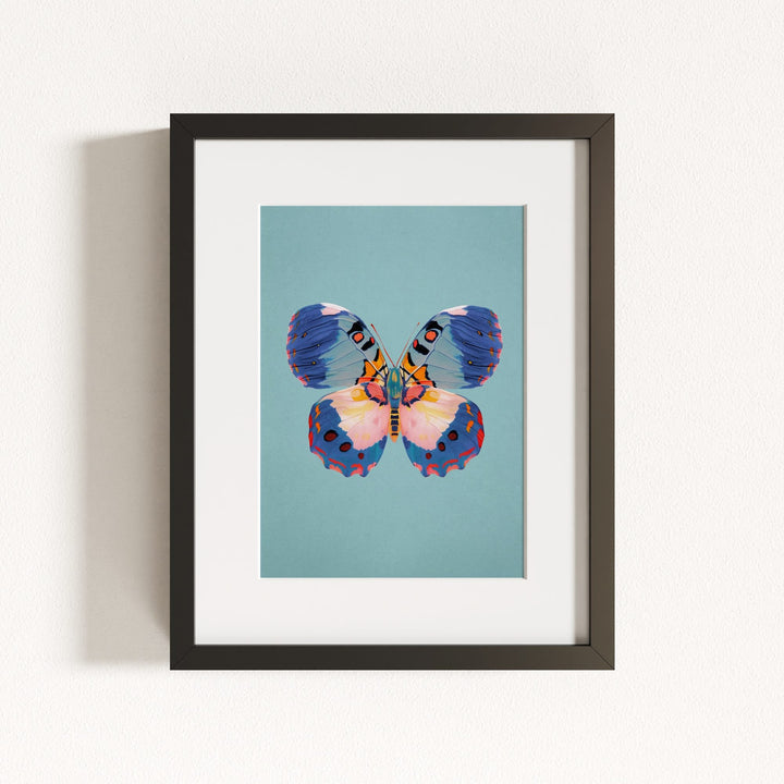 Color Bloom Butterflies Set of 9