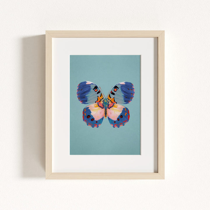 Color Bloom Butterflies Set of 9