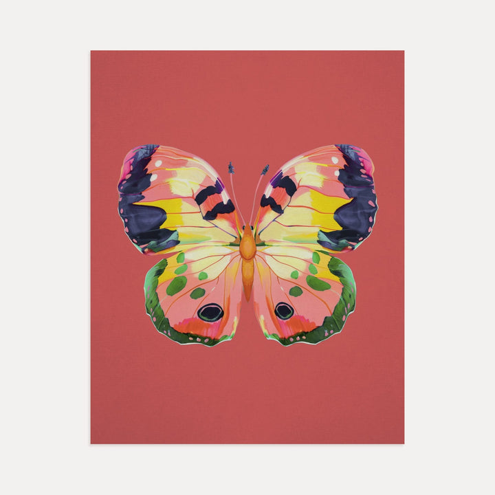 Color Bloom Butterflies Set of 9