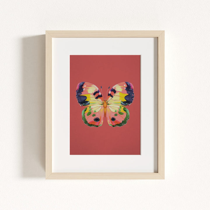 Color Bloom Butterflies Set of 9