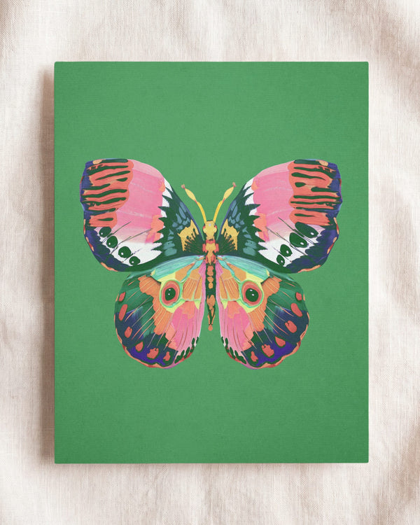 Color Bloom Butterfly Collection
