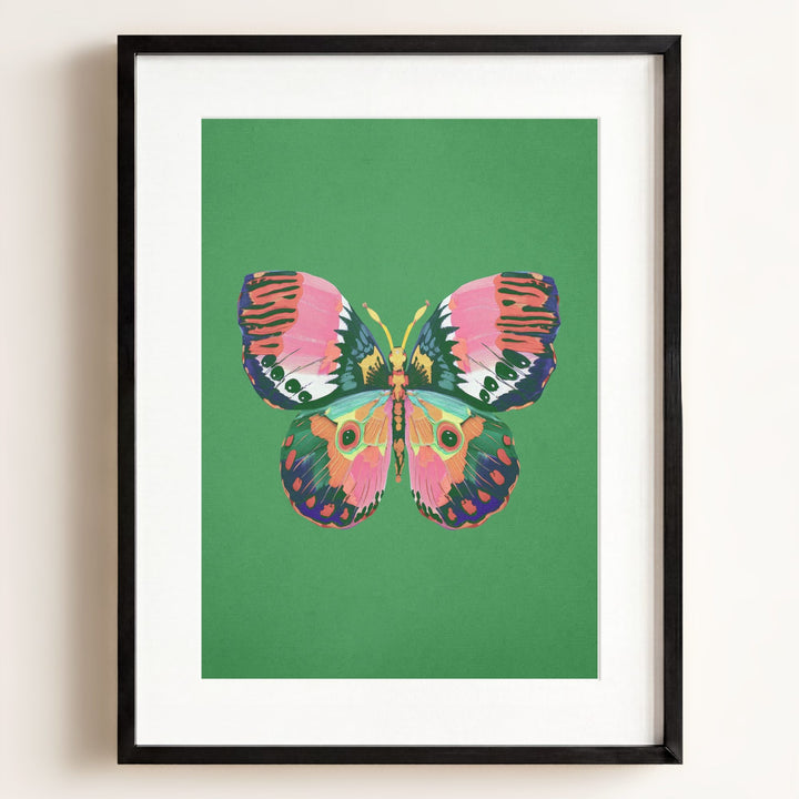 Color Bloom Butterfly Collection