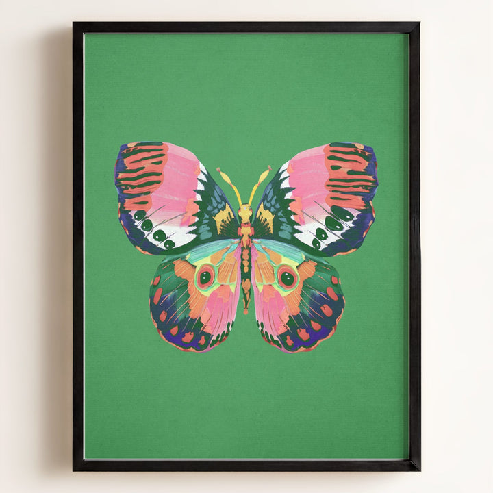 Color Bloom Butterfly Collection