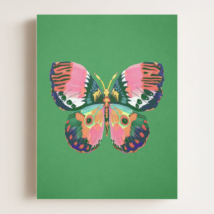 Color Bloom Butterfly Collection