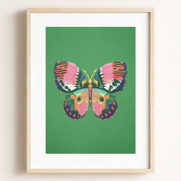 Color Bloom Butterfly Collection