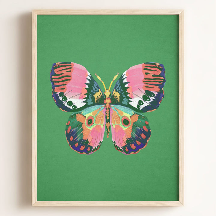 Color Bloom Butterfly Collection