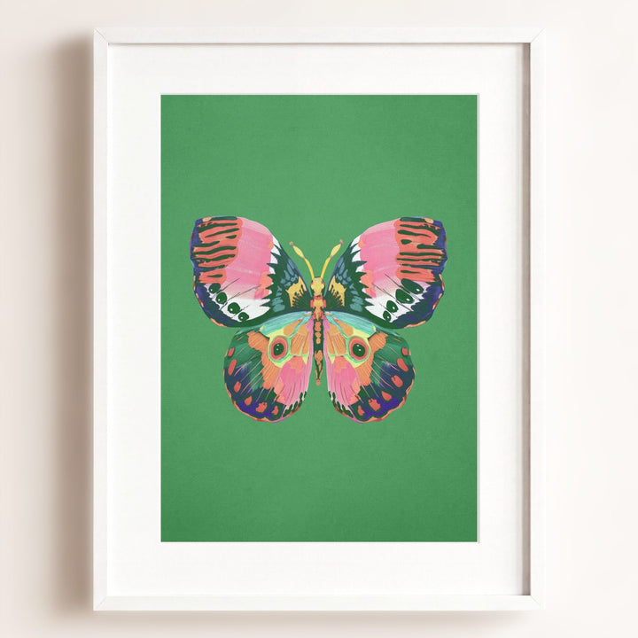Color Bloom Butterfly Collection