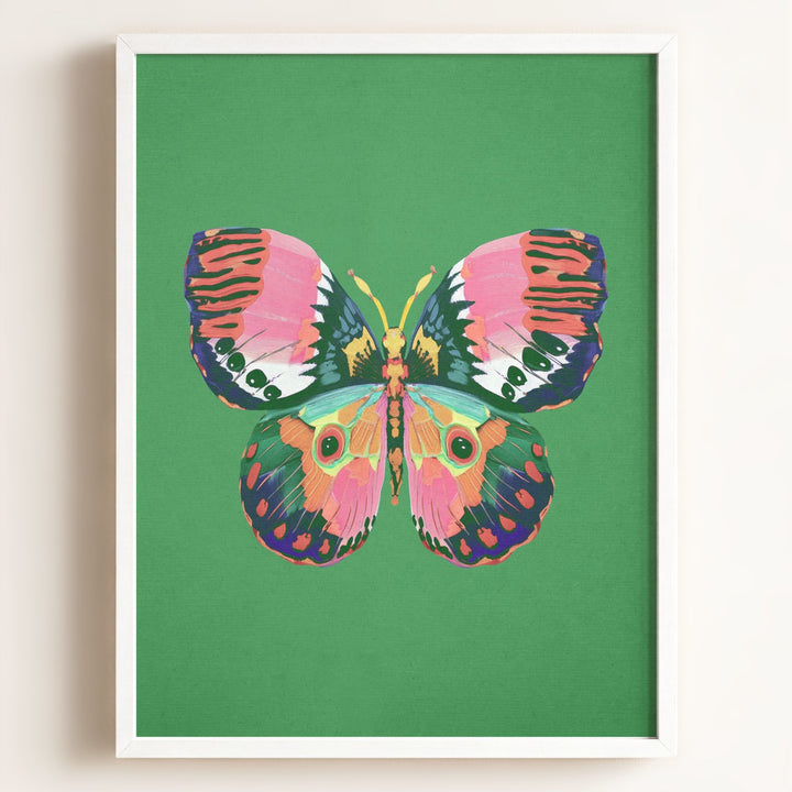 Color Bloom Butterfly Collection