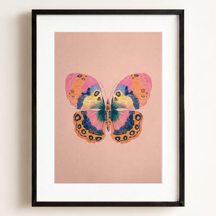 Color Bloom Butterfly Collection