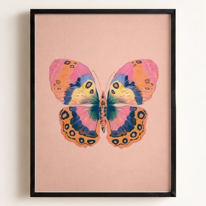 Color Bloom Butterfly Collection
