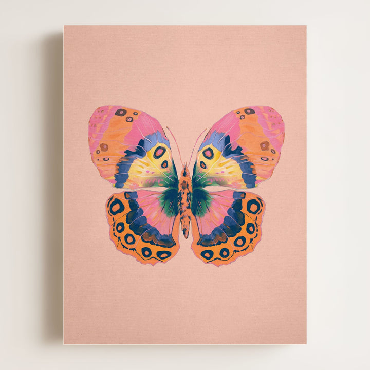 Color Bloom Butterfly Collection