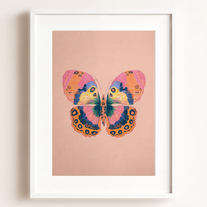 Color Bloom Butterfly Collection