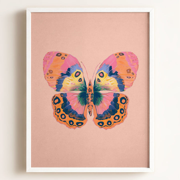 Color Bloom Butterfly Collection