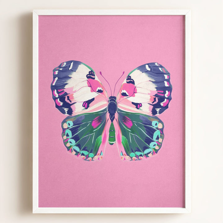 Color Bloom Butterfly Collection