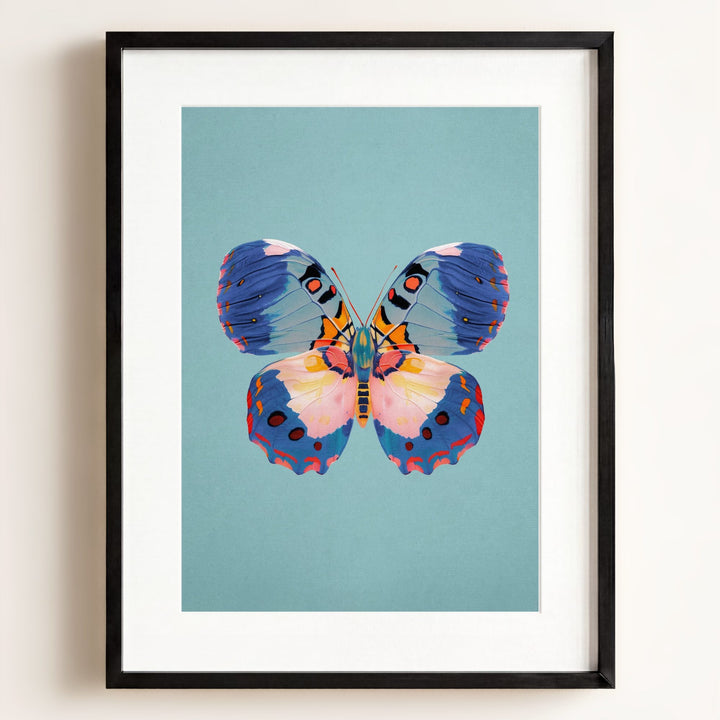 Color Bloom Butterfly Collection