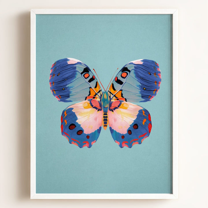 Color Bloom Butterfly Collection