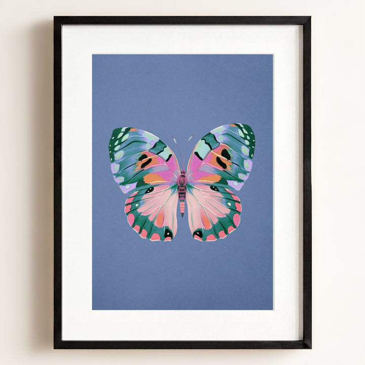 Color Bloom Butterfly Collection