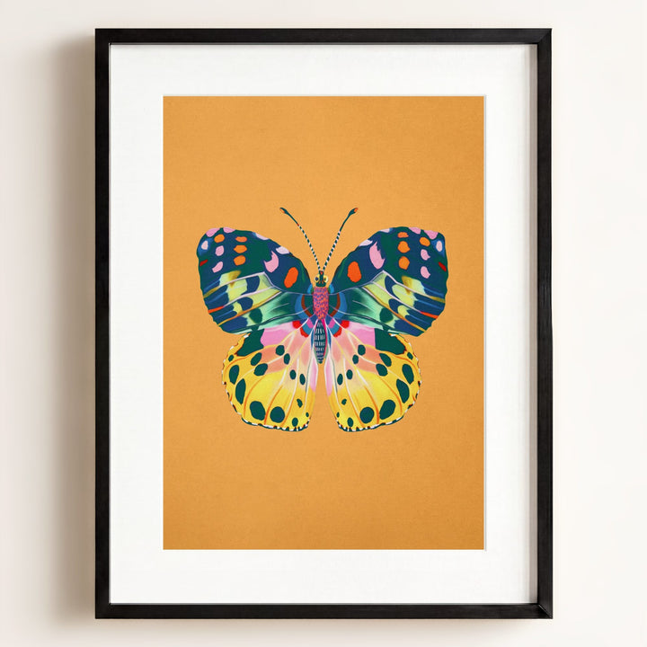 Color Bloom Butterfly Collection