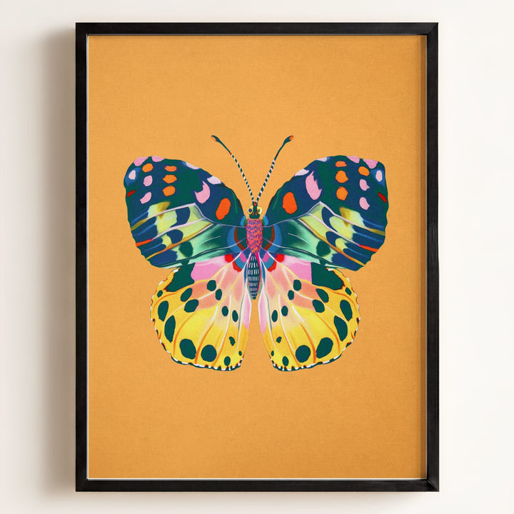 Color Bloom Butterfly Collection