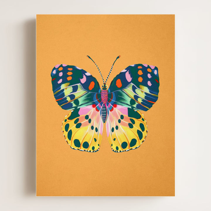 Color Bloom Butterfly Collection